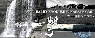 Barry Kyokushin Karate club