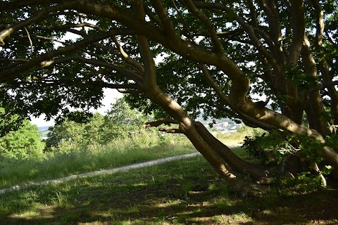 Wincobank Hill Fort