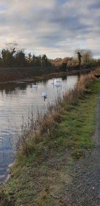 Confey Community College Leixlip