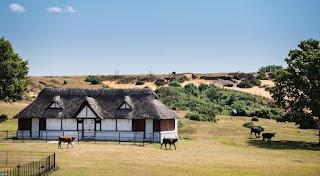 Fells Gulliver Estate Agents