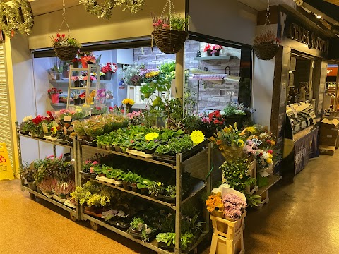 Leighton plants & flowers