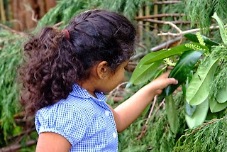 Kinderoos Preschool & Nursery