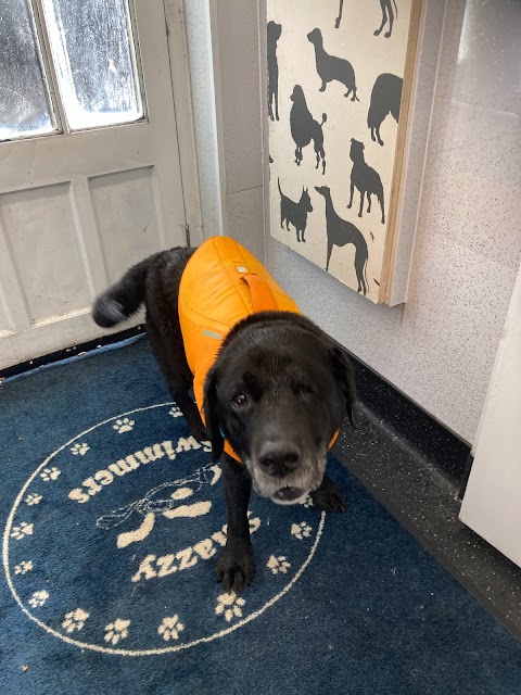 Groovy Grooming and Snazzy swimmers canine hydrotherapy centre