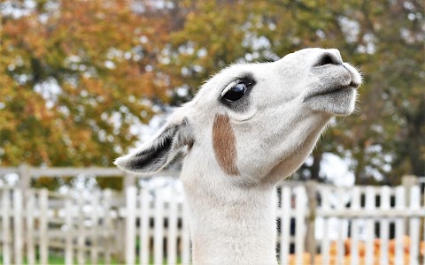 Floralands Farm Park