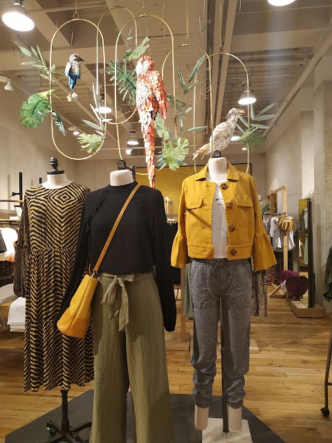 Anthropologie