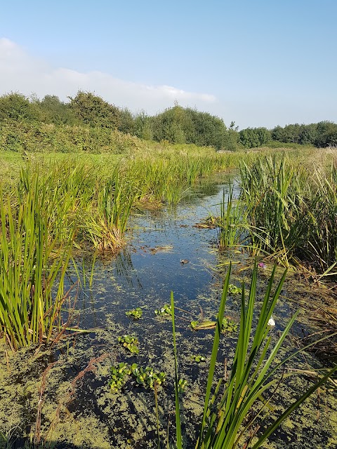 Hendre Lake Park