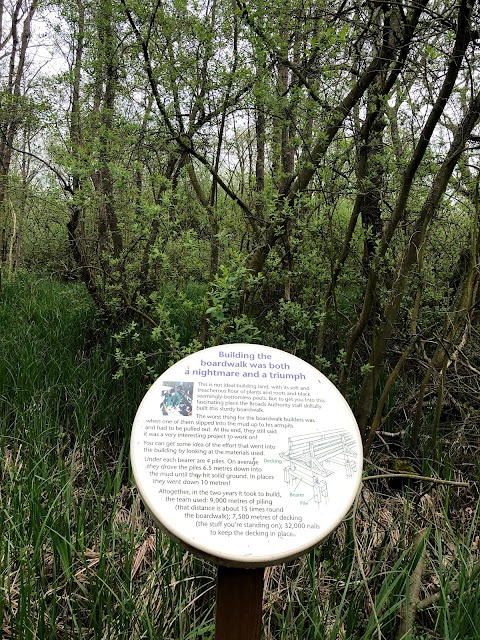 Barton Broad Boardwalk