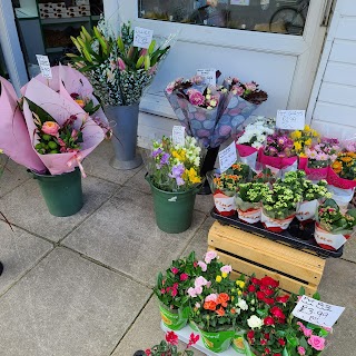 Fruit & Flower