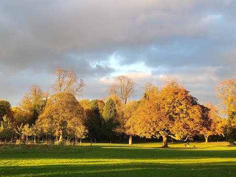 Brueton Park Lake