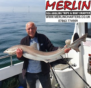 Merlin Sea Angling