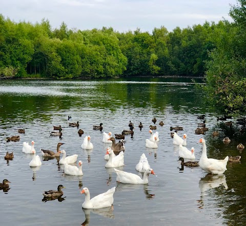 Walton Colliery Nature Park