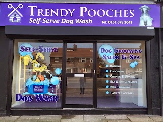 Trendy Pooches Self Serve Dog Wash Grooming Salon