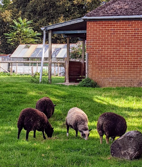 Southampton City Farm