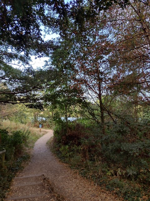 Lakeside Country Park