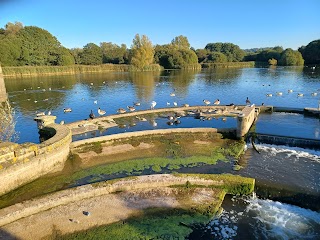 Chew Valley Lake