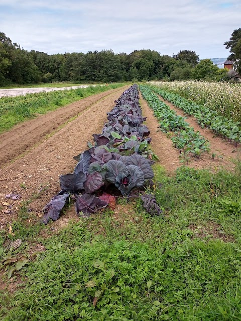 Helen's Bay Organic