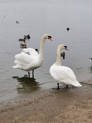 Colwick Marina