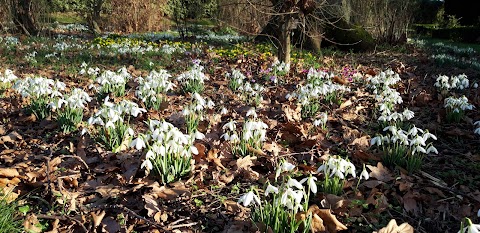 Castle Bromwich Hall & Gardens Trust