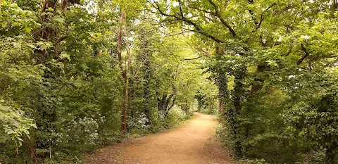 Duke of Northumberland's River