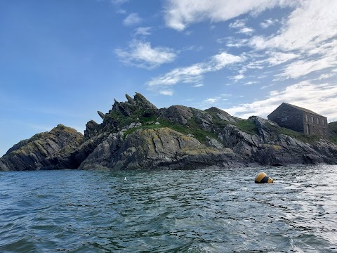 Looe Sea Safari