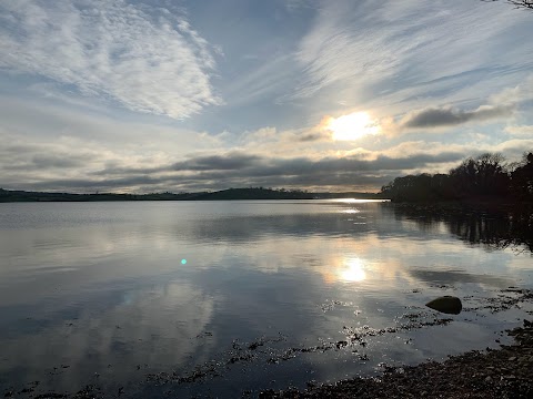 Delamont Country Park