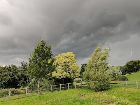 Mile Oak Recreational Park