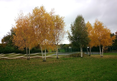 Olton Jubilee Park