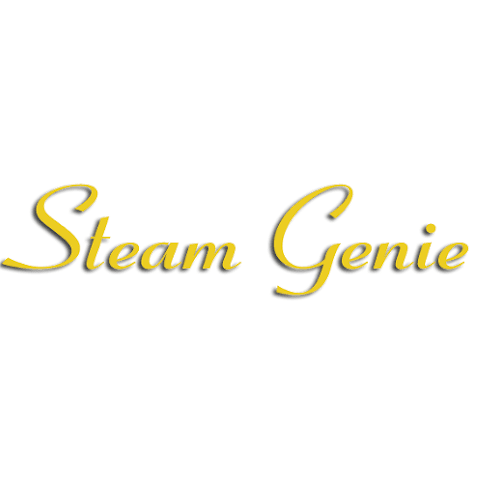 Steam Genie