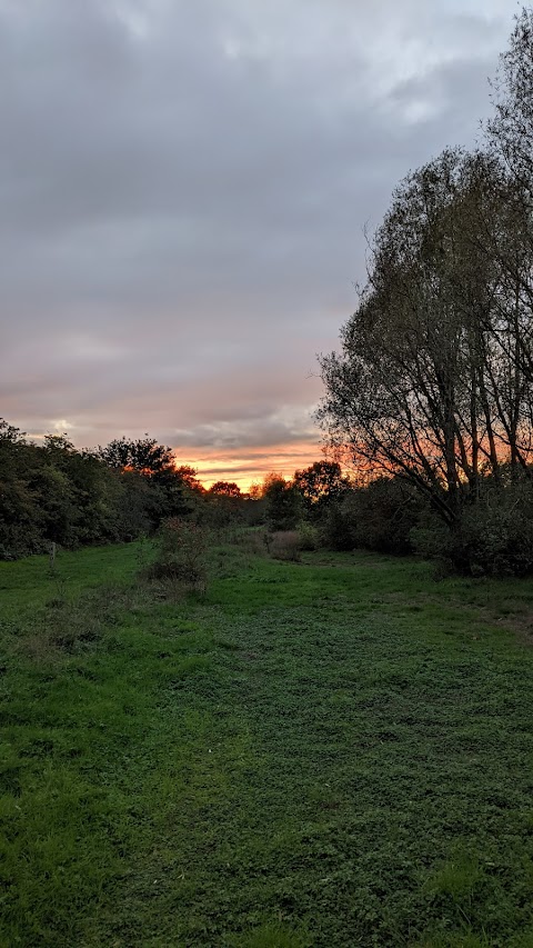 Fairlop Waters