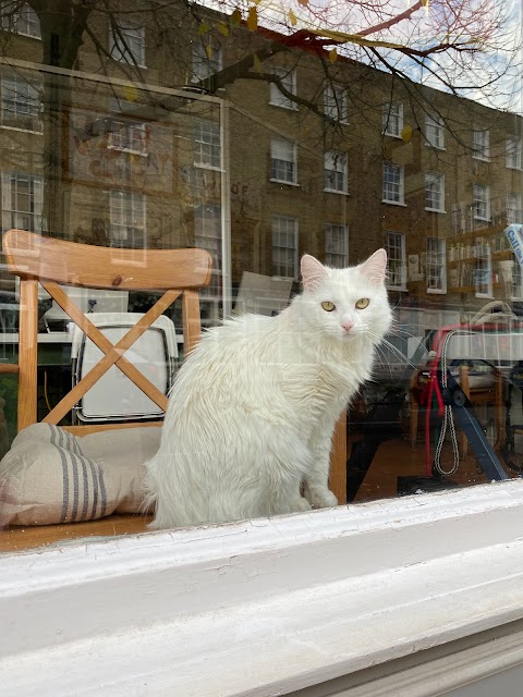 London Veterinary Clinic