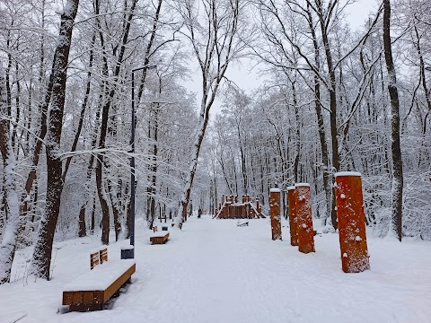 Лісопарк Білогорща