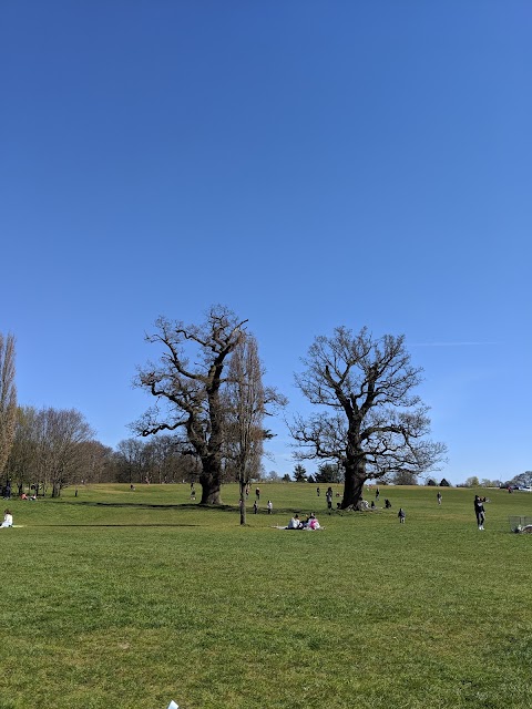 Cassiobury Park Hub & Daisy’s In The Park