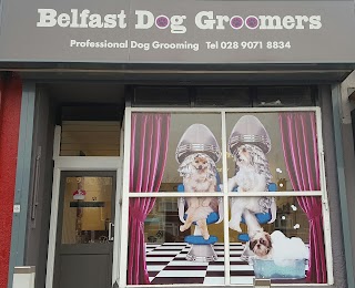 Belfast Dog Groomers North