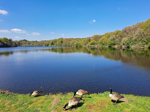 Knypersley Reservoir