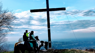 Tarden Farm Riding Stables