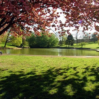 St George Park