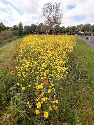 Stardust Memorial Park