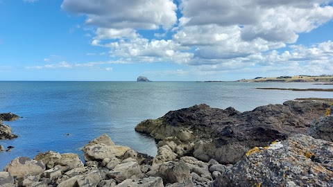 Scottish Seabird Centre