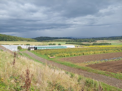 Craigie's Farm Deli and Cafe