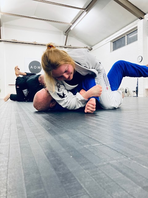 Art of Movement Bristol - Brazilian Jiu Jitsu and Capoeira