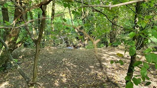 Charlton Brook Dam