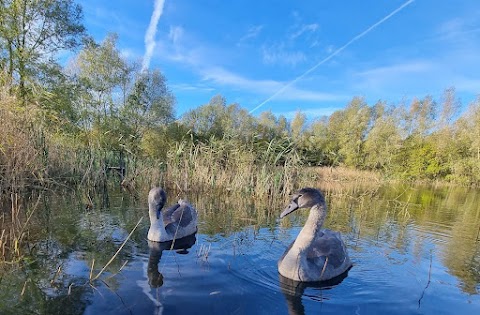 Leybourne Lakes Country Park