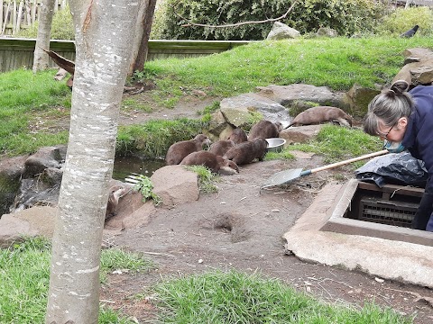 Grasslands Restaurant, Edinburgh Zoo