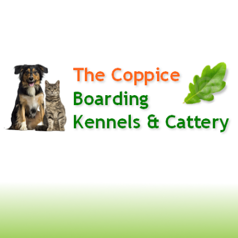 Coppice Boarding Kennels & Cattery