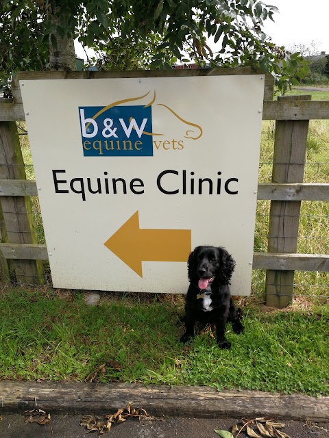 South Wales Equine Vets - Cardiff