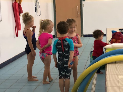 Mojos Swim School