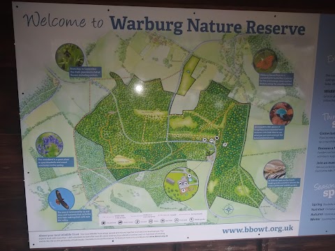 Warburg Nature Reserve Berkshire, Buckinghamshire and Oxfordshire Wildlife Trust