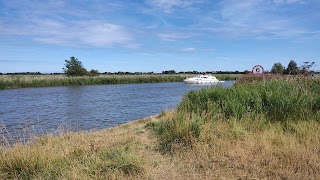 Upton Fen