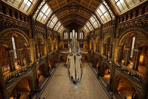 Natural History Museum