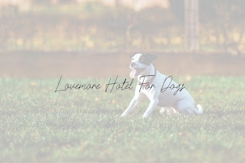 The Lovemore Hotel For Dogs